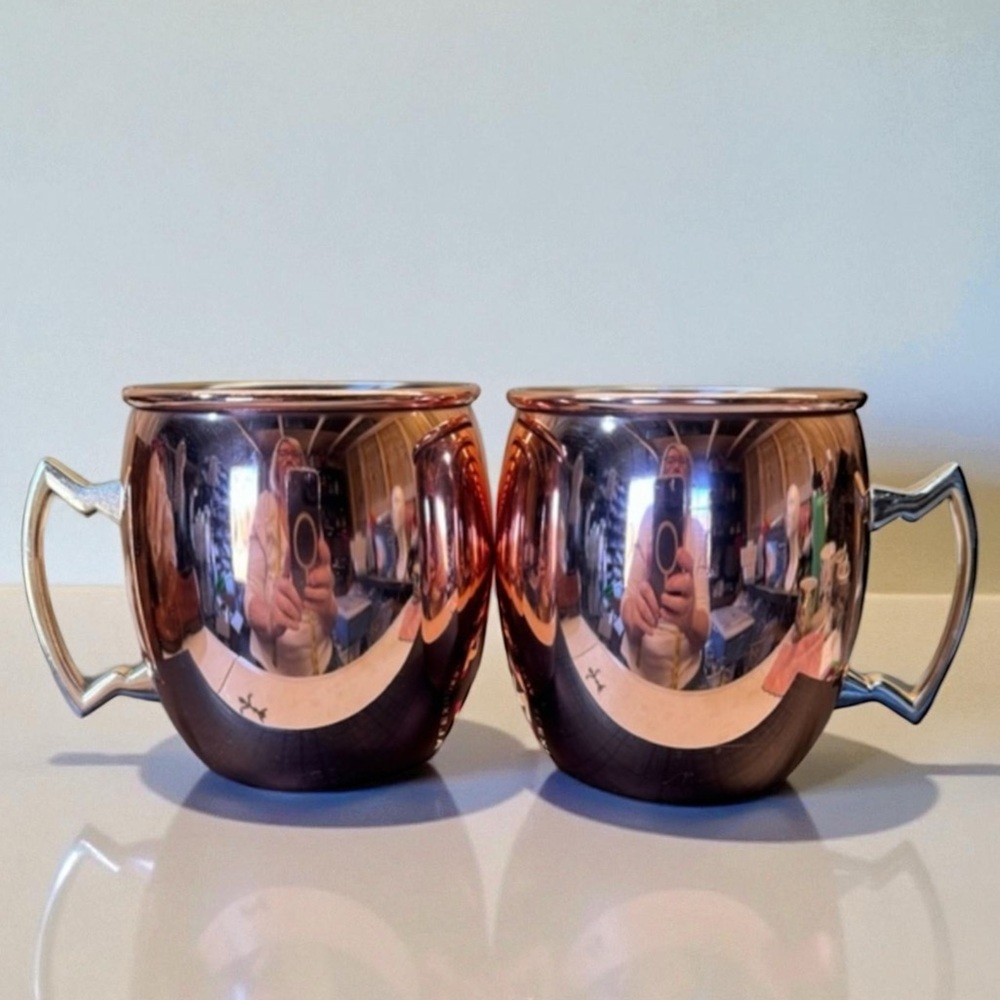 Eco One By Silver One Set of 2 International Copper Rounded 16 oz Mugs lined EUC